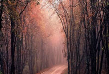 邱彪：打到这个份上目标肯定是争取更好成绩，摆正位置力拼辽宁.