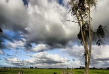 [网球]迈阿密站张帅／梅尔滕斯组合遭逆转.