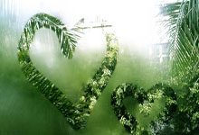 四杀太阳！兰德尔25+6，爱德华兹下半场爆发，森林狼主场射日.