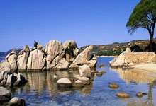 [冰雪]中国队不敌瑞士队 遭遇首败.